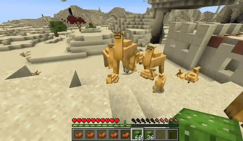 Minecraft PE APK Camel