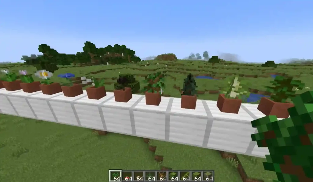 Decorative Planter Pots
