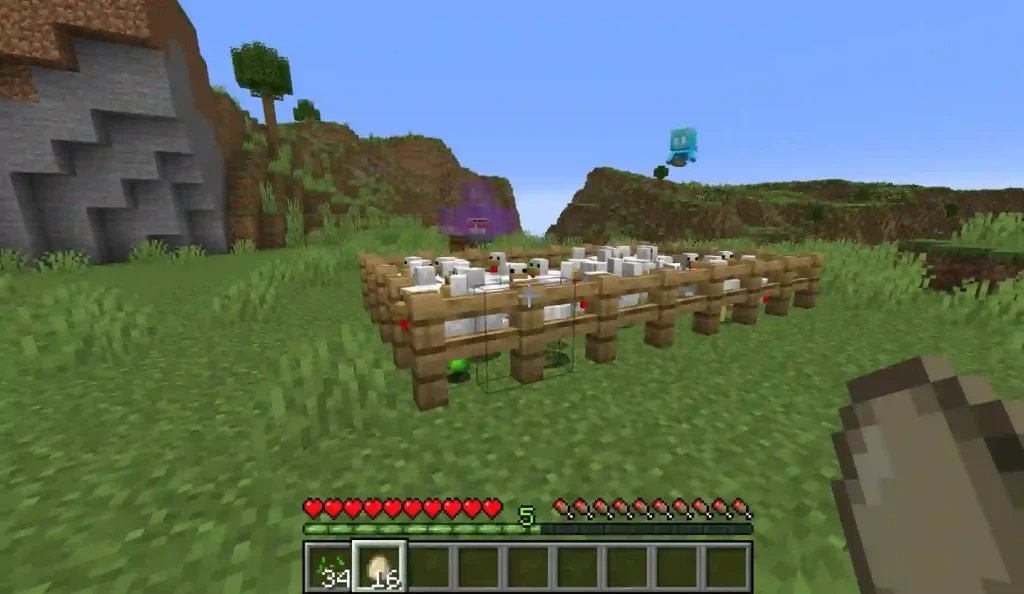 Chicken in Minecraft