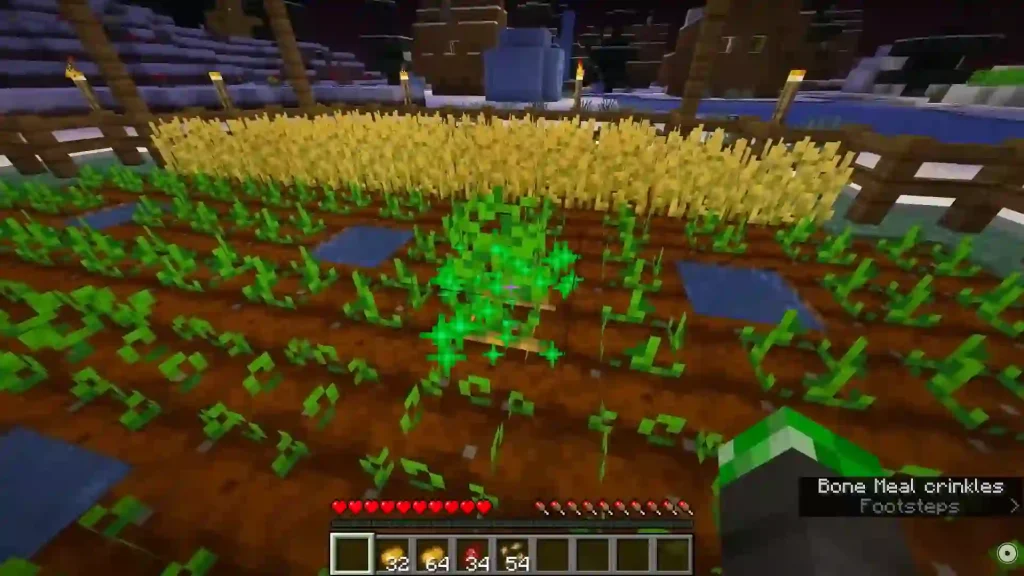 Village and Plant